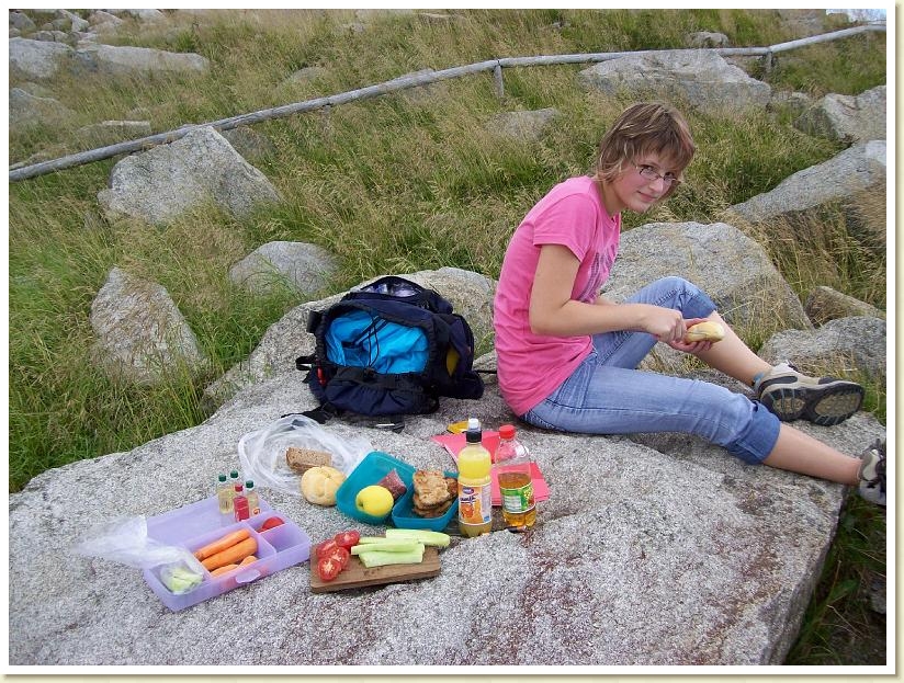 Brocken 06.08 (5)